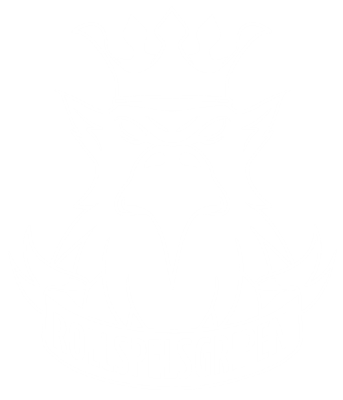 Rollspelsgripen vitrollspelsgripen vit@4x 500